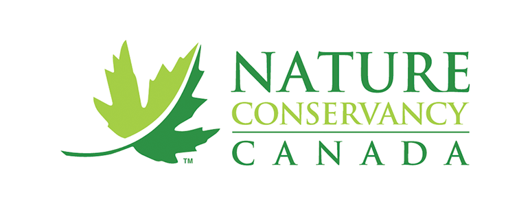 Logo NCofC 220517